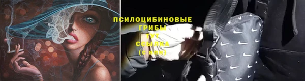 бошки Абаза
