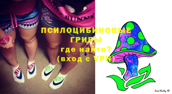 бошки Абаза