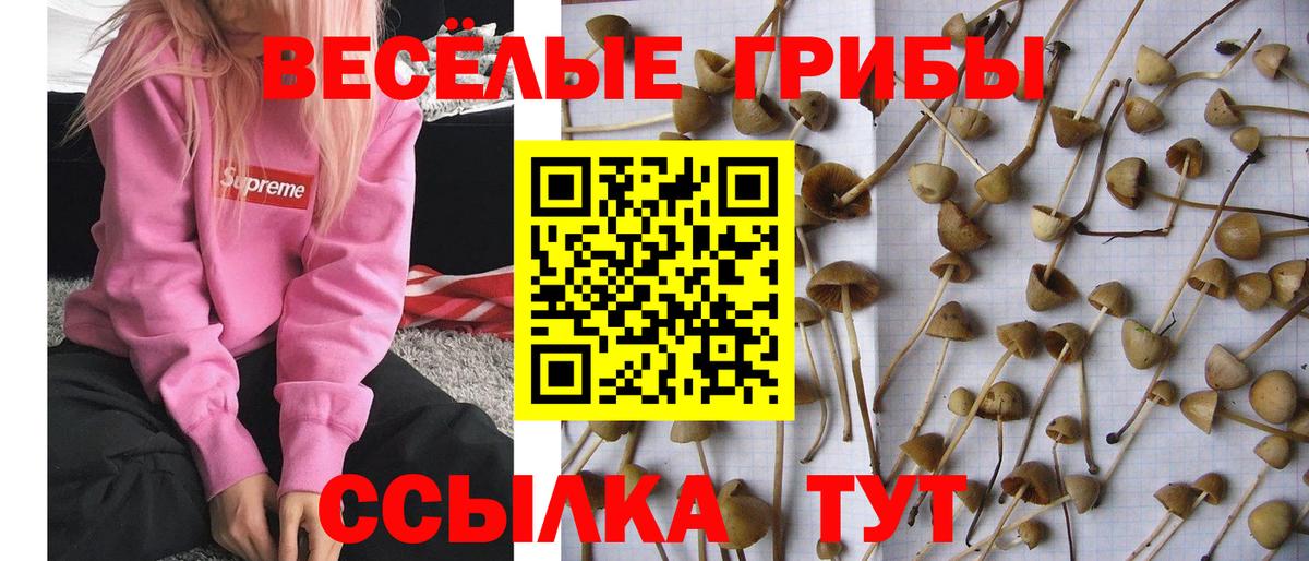 Метадон Искитим