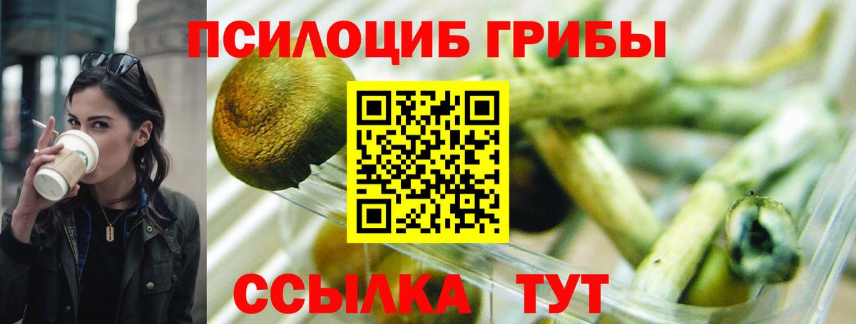 Псилоцибиновые грибы мухоморы  Вход с VPN  Искитим  Псилоцибиновые грибы GOLDEN TEACHER 