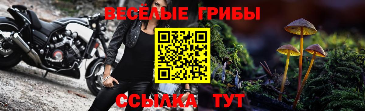 Галлюциногенные грибы ЛСД Искитим